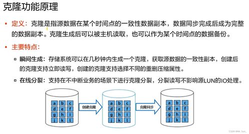 存儲(chǔ)數(shù)據(jù)保護(hù)技術(shù)與應(yīng)用 保障數(shù)據(jù)處理和存儲(chǔ)服務(wù)的安全基石