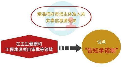 成風破浪，華彩紛呈 2020成華區(qū)營商環(huán)境建設(shè)改革成效之政務(wù)服務(wù)篇